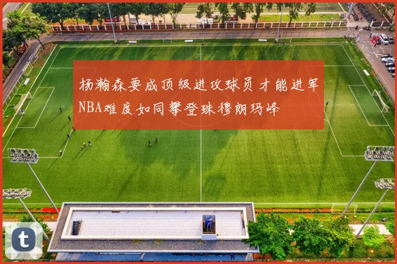 杨瀚森要成顶级进攻球员才能进军NBA难度如同攀登珠穆朗玛峰